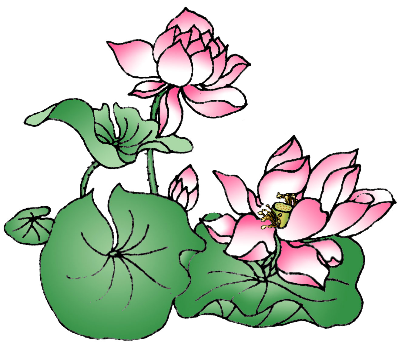 1316x1132 Lotus Clipart Teratai