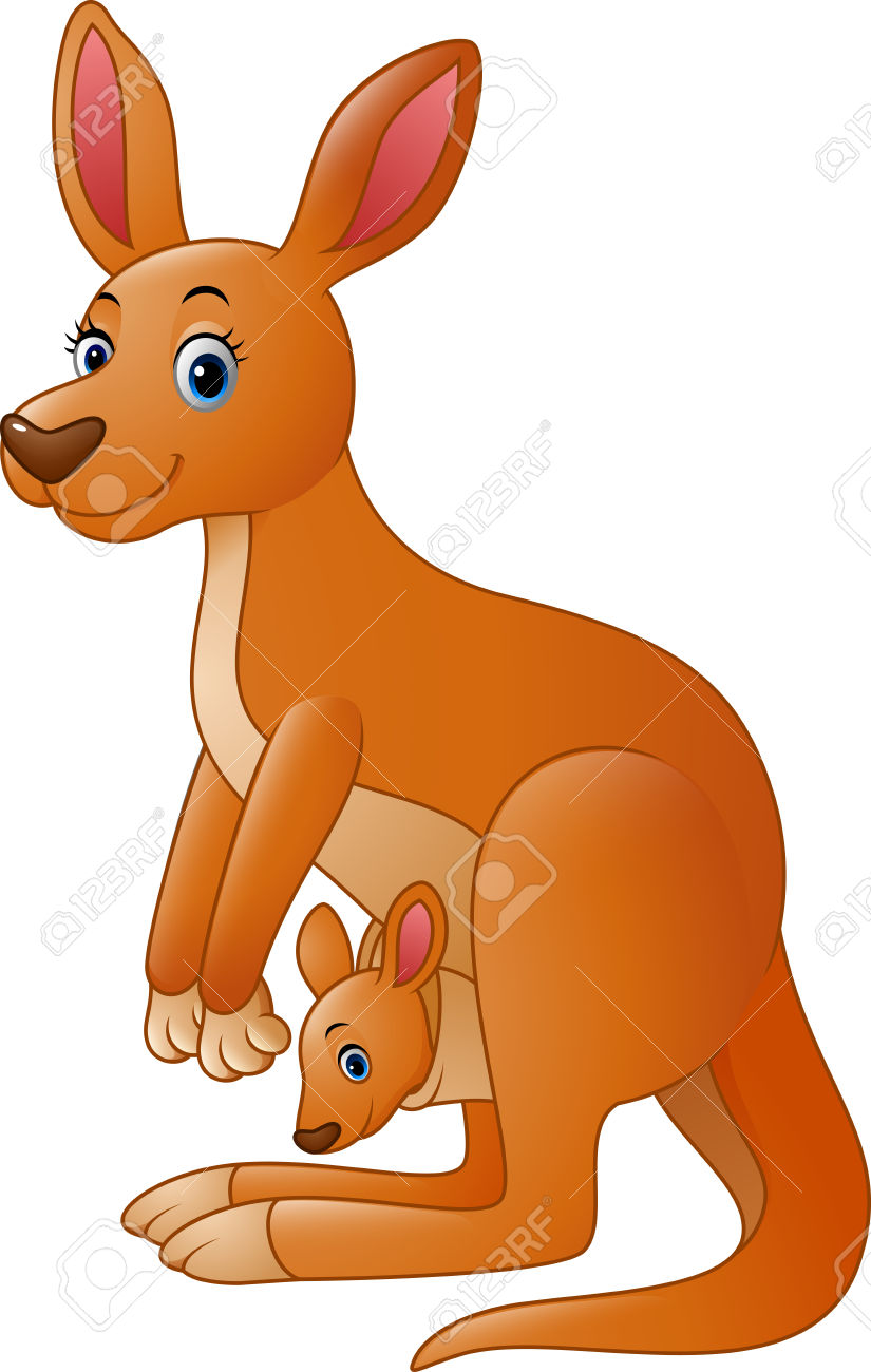 825x1300 Kangaroo Clipart Red Kangaroo