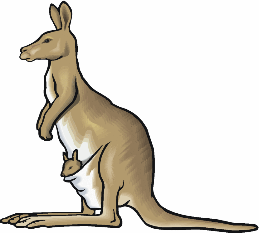 830x747 Kangaroo Clip Art