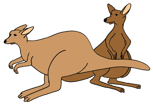 500x343 Kangaroo Clip Art