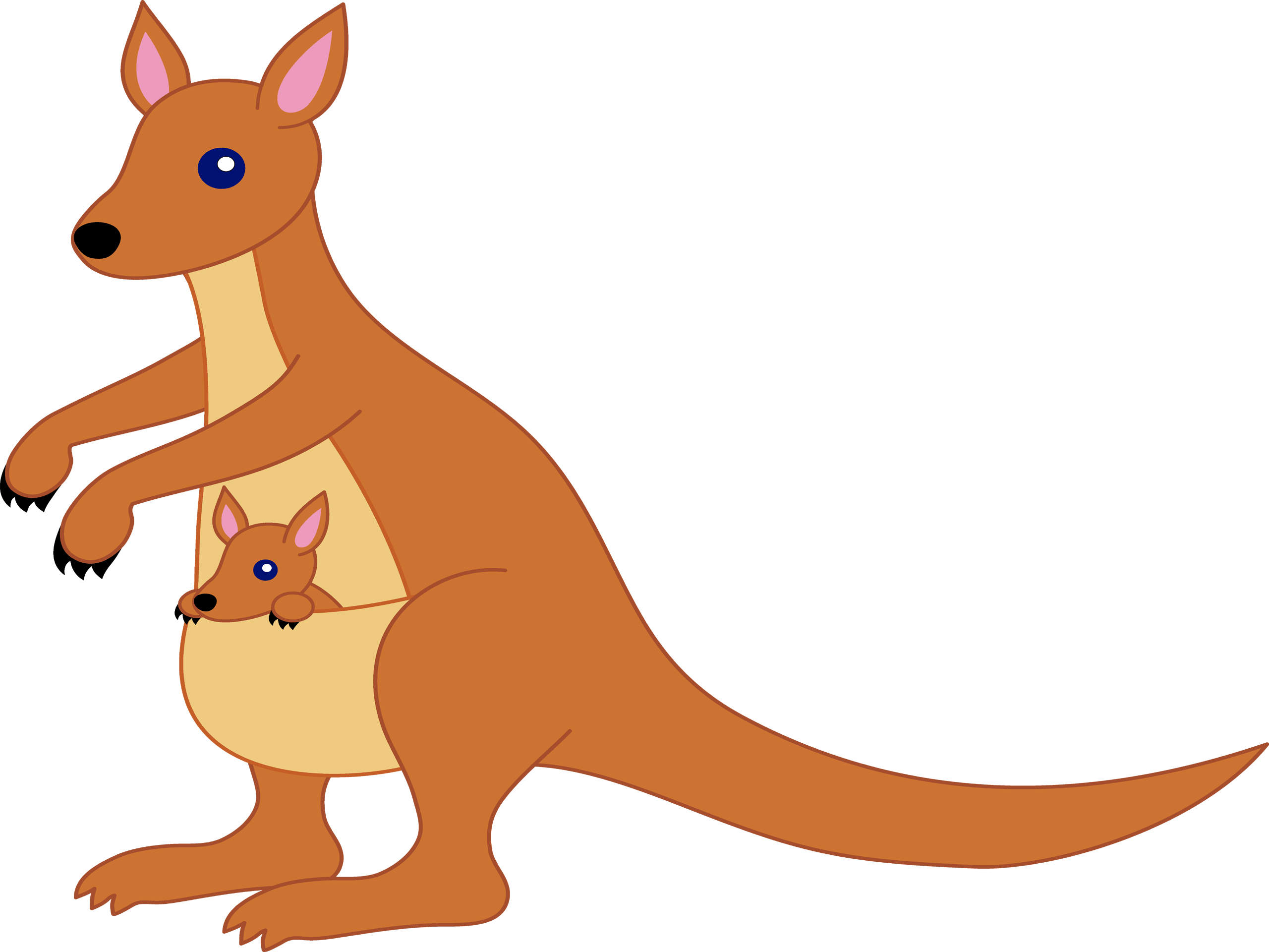 2560x1920 Kangaroo Clipart