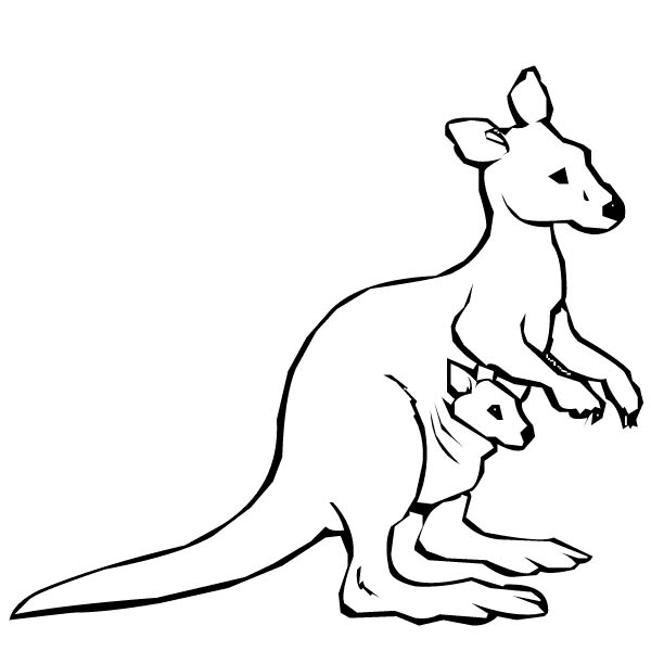 600x600 Drawing Clipart Kangaroo