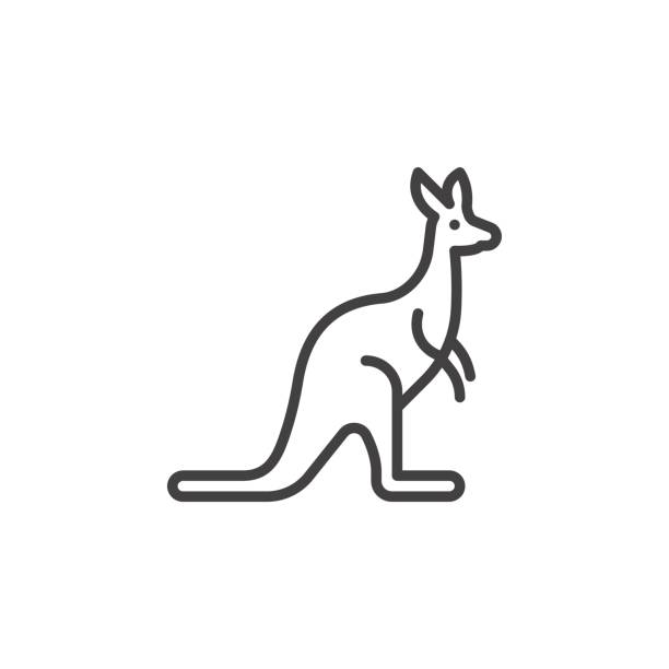 612x612 Interesting Kangaroo Outline Clip Art At Clker Com Vector Online