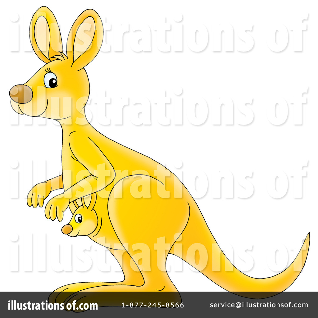 1024x1024 Kangaroo Clipart