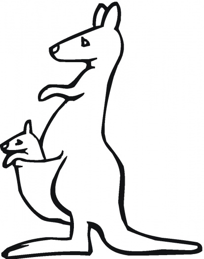 414x525 Sweet Design Kangaroo Outline Free Download Clip Art On Drawing