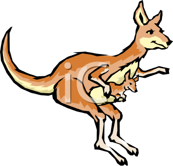 350x335 Top 90 Kangaroo Clip Art