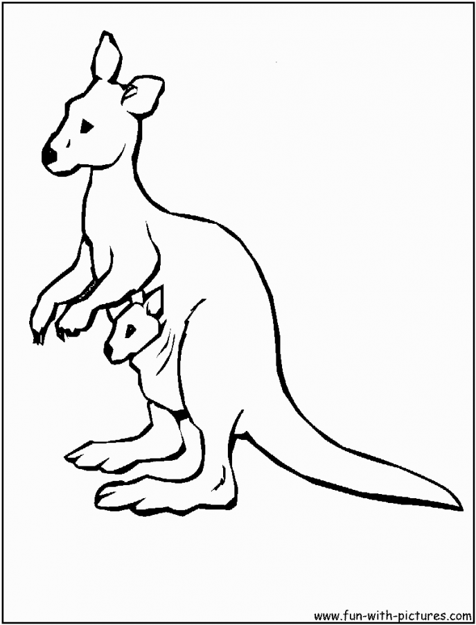 687x902 Coloring Pages Kangaroo Coloring Pages Page Kangaroo Coloring