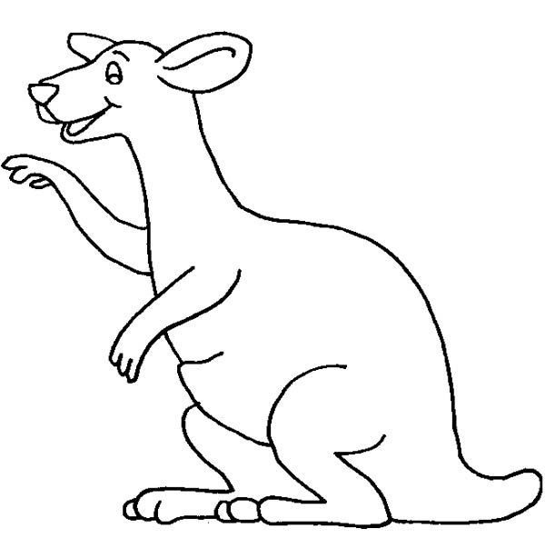 600x604 Animal Kangaroo Coloring Pages Animals