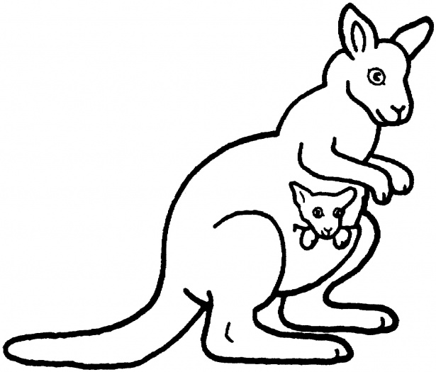 615x525 Kangaroo Clipart Coloring