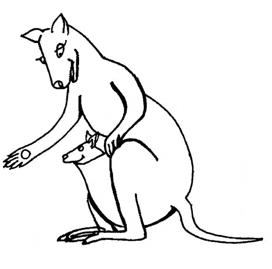 550x544 Kangaroo Coloring Page