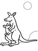 125x166 Kangaroo Coloring Pages