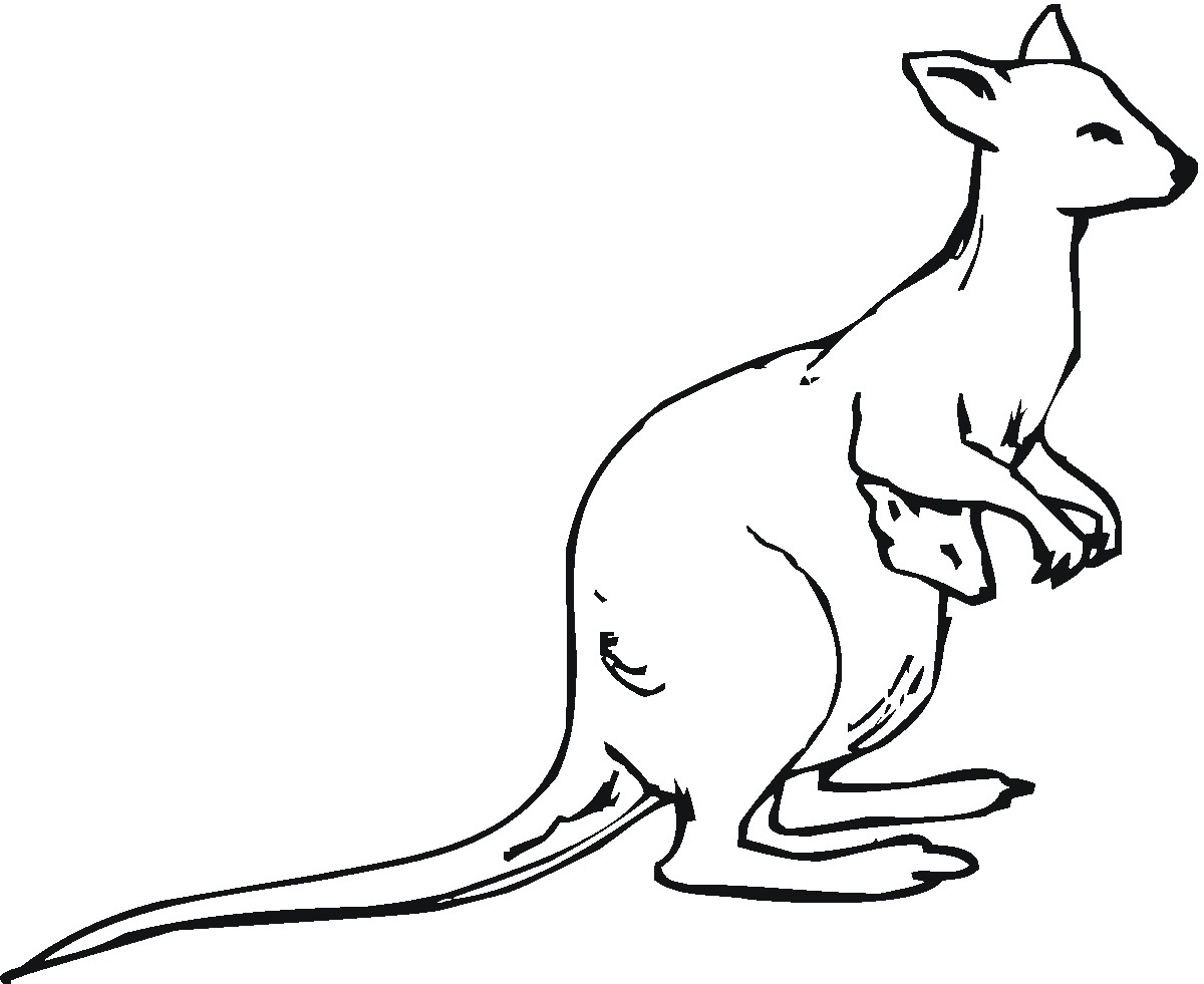 1200x981 Special Kangaroo Coloring Pages Gallery Colori
