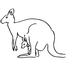 230x230 Top 10 Free Printable Kangaroo Coloring Pages Online
