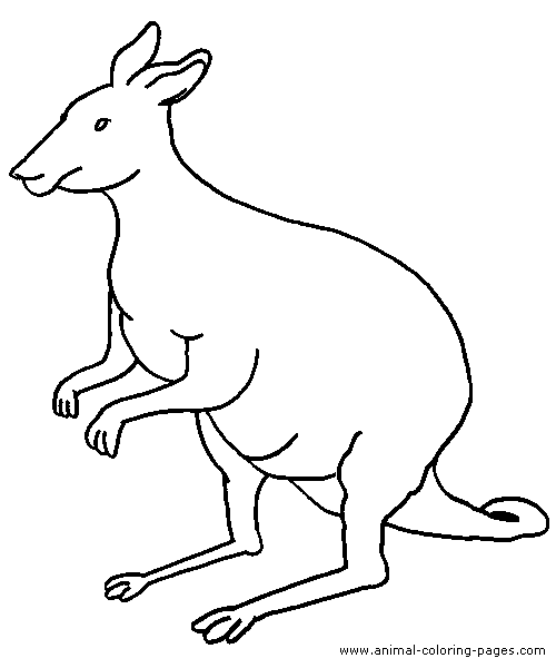 500x600 Top 72 Kangaroo Coloring Pages