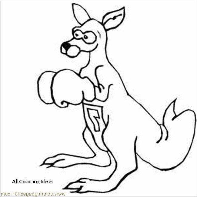 650x650 Update Kangaroo Coloring Page