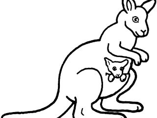 Kangaroo Coloring Page | Free download on ClipArtMag