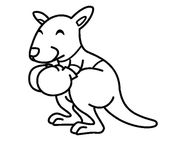 600x470 Boxing Kangaroo Coloring Page