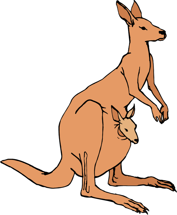 620x750 Young Mom Kangaroo Clipart