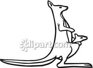 300x219 Of A Kangaroo And Joey