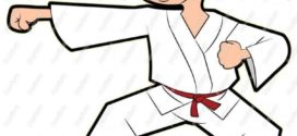272x125 Young Karate Guy Clip Art