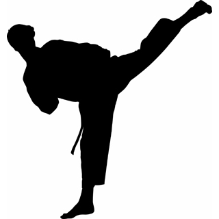 320x320 Free Karate Martial Arts Clipart Panda