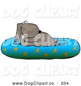 164x175 Dog In Swimming Pool