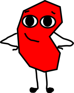 240x300 Cute Kidney Clip Art