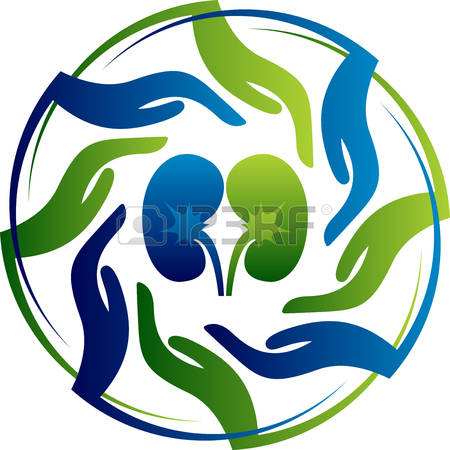 450x450 2,659 Kidney Shape Stock Vector Illustration And Royalty Free