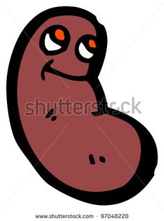 236x318 Kidney Needed