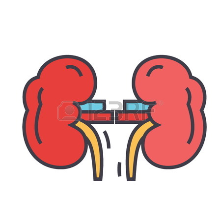 450x450 Icons For Kidney Failure Icons