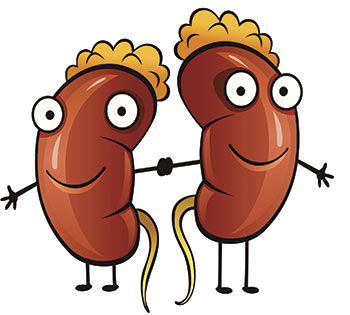 350x315 Kidney Disease In Dogs