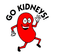 240x229 Kidney Failure Clip Art Cliparts