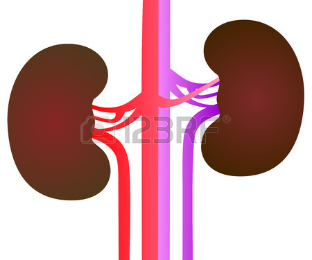 450x375 Brain Vector Illustration Eps 10 Royalty Free Cliparts, Vectors