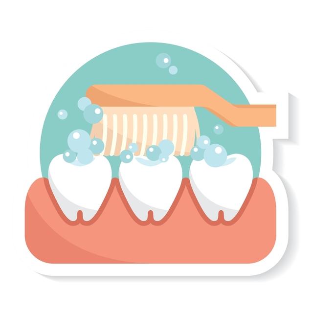 640x640 How A Local Dentist Would Explain Tooth Anatomy To Kids