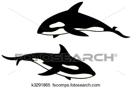 Killer Whale Clipart | Free download on ClipArtMag