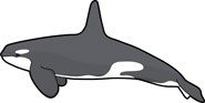 185x93 Free Whale Clipart