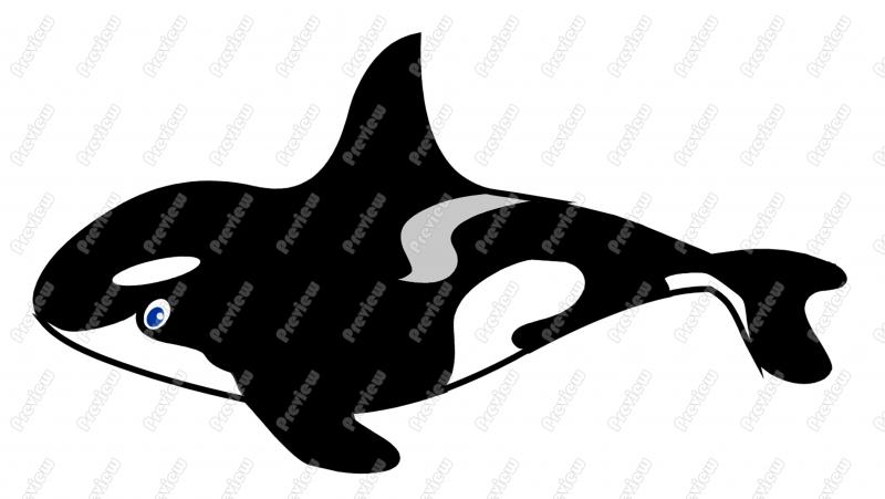 800x451 Orca Killer Whale Character Clip Art