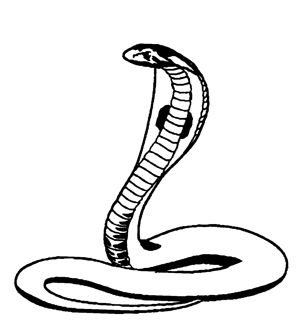1200x1286 Top 94 Cobra Clip Art