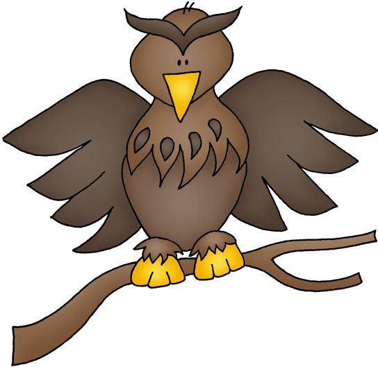 544x532 29 Best Animal Clipart .animal Kingdom Images