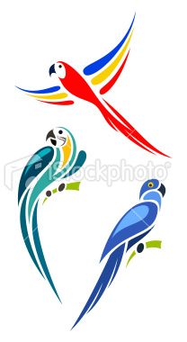 208x380 Birds Illustrations Art Amp Islamic Graphics Birds, Birds