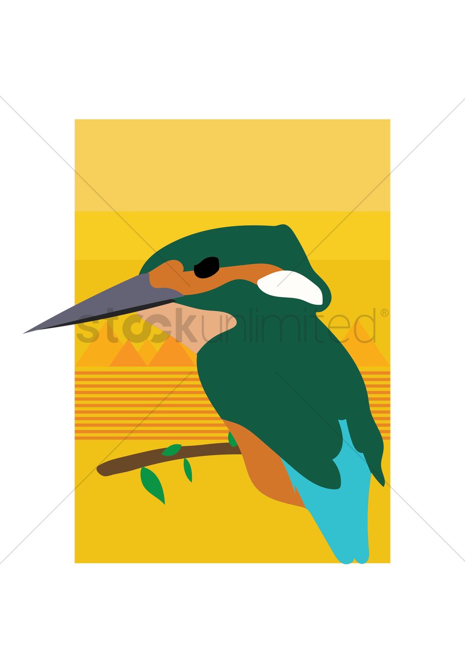 919x1300 British Kingfisher Bird Vector Image