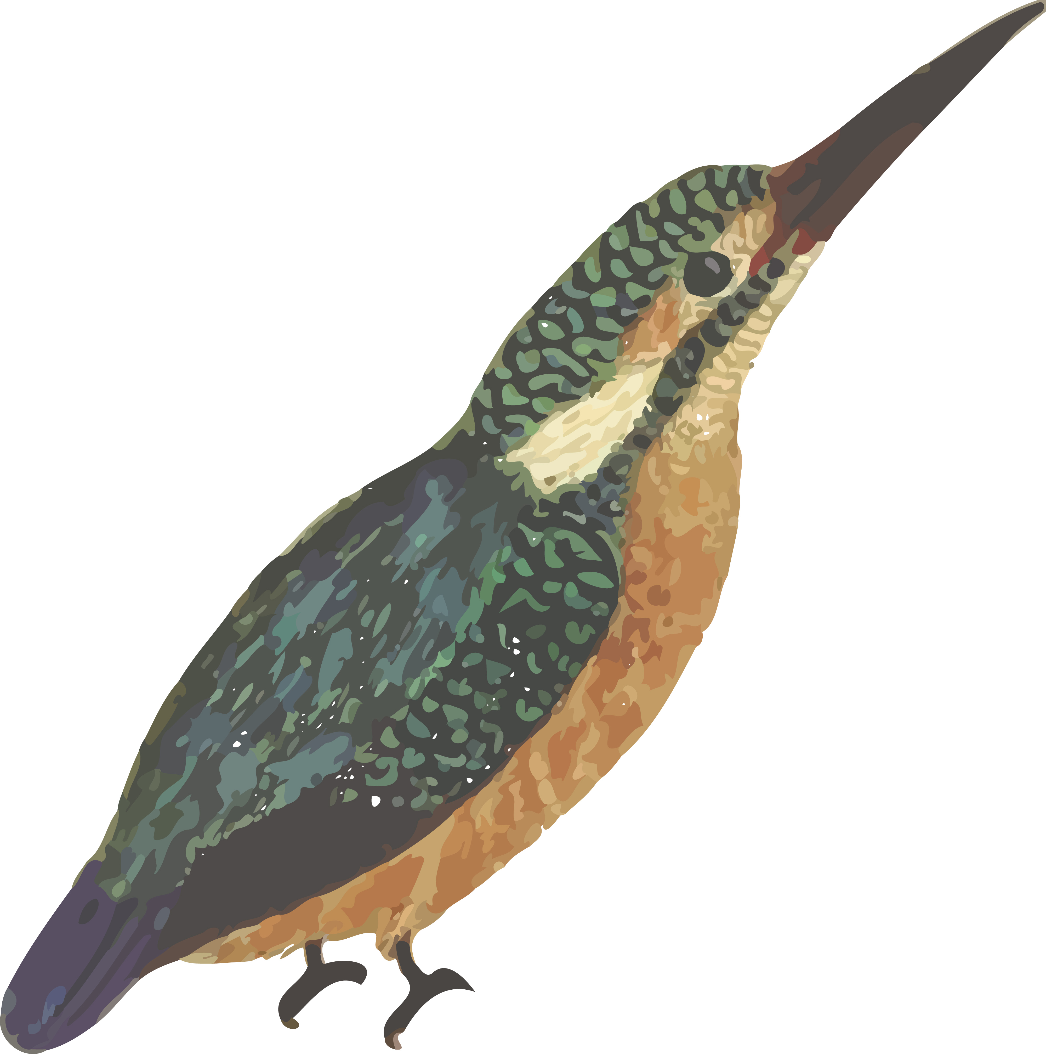 4000x4029 Clipart Of A Kingfisher Bird