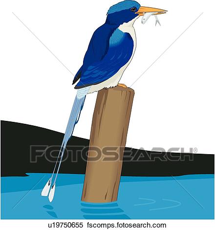 440x470 Clipart Of Paradise Kingfisher U19750655