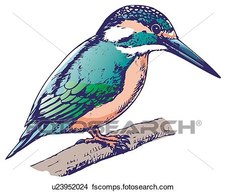 450x382 Drawings Of Kingfisher Perching On Branch, Side View U23952024