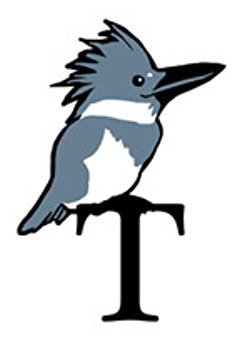 250x352 T Kingfisher Books, Biography, Blog, Audiobooks, Kindle