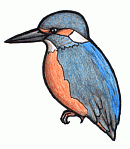 130x149 Kingfisher Clipart