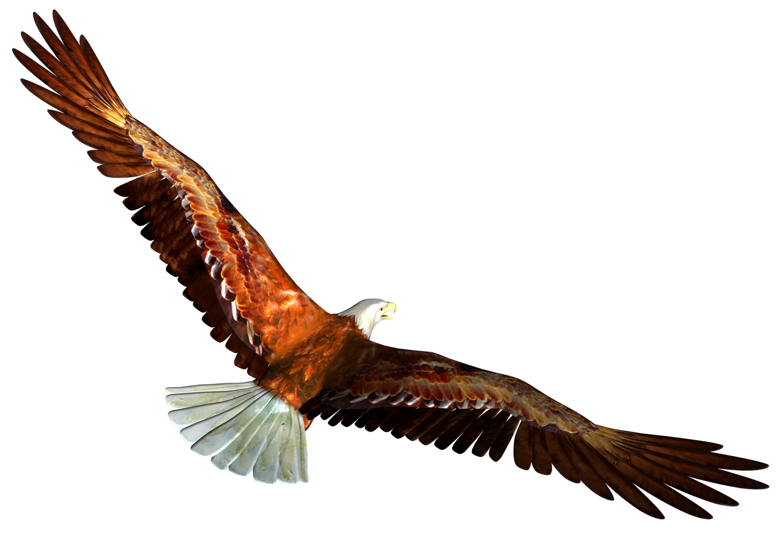 1600x1131 Eagle Clipart