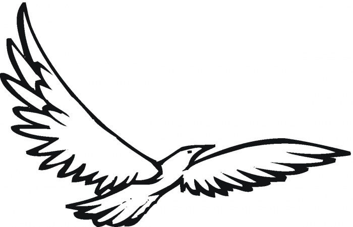 700x450 Kite Bird Clipart