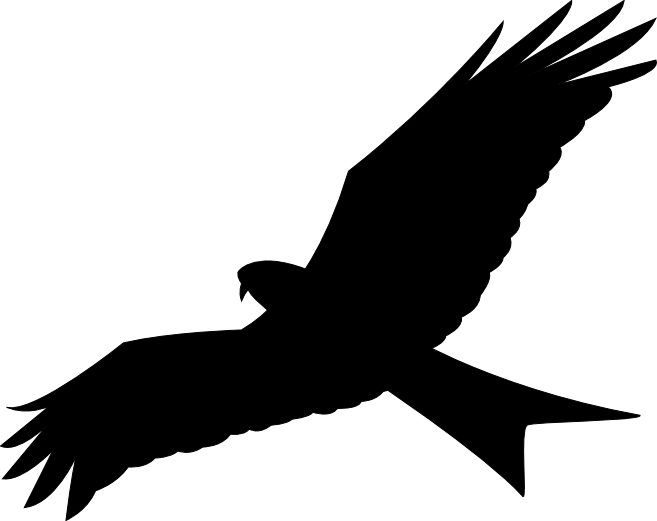 657x521 Red Kite Clipart Bird