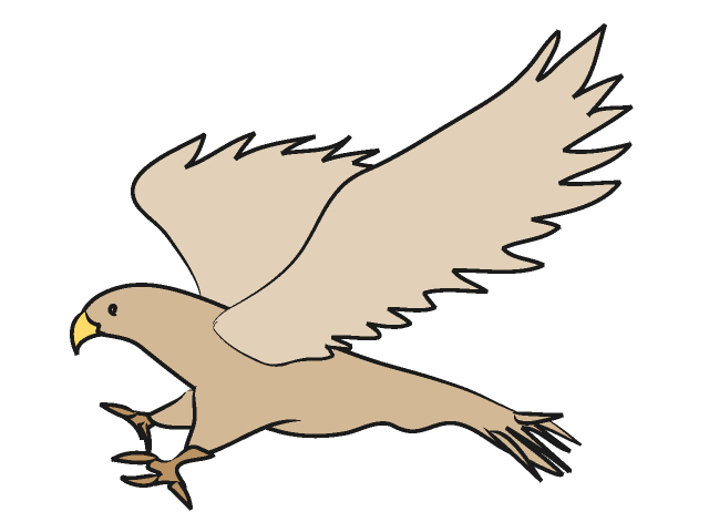 640x480 Top 62 Hawk Clip Art